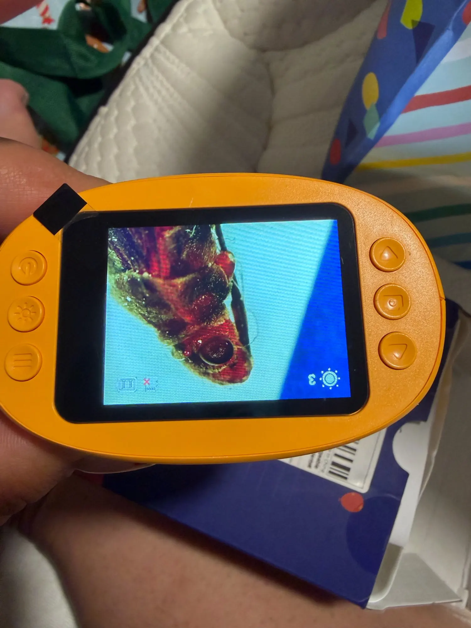 Review image