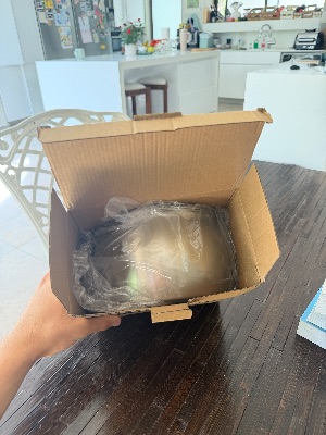 דניאל ס.