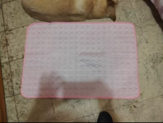 A.