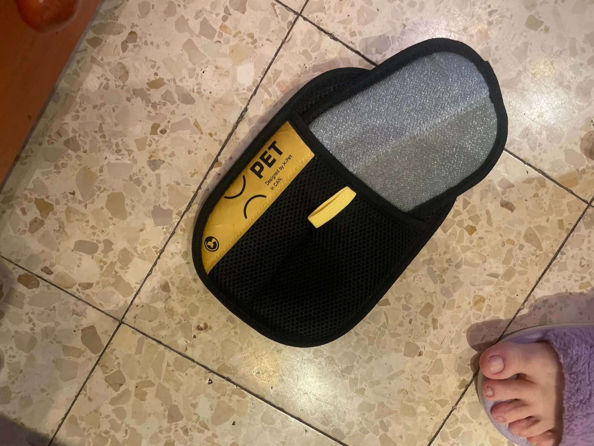 משה וייל