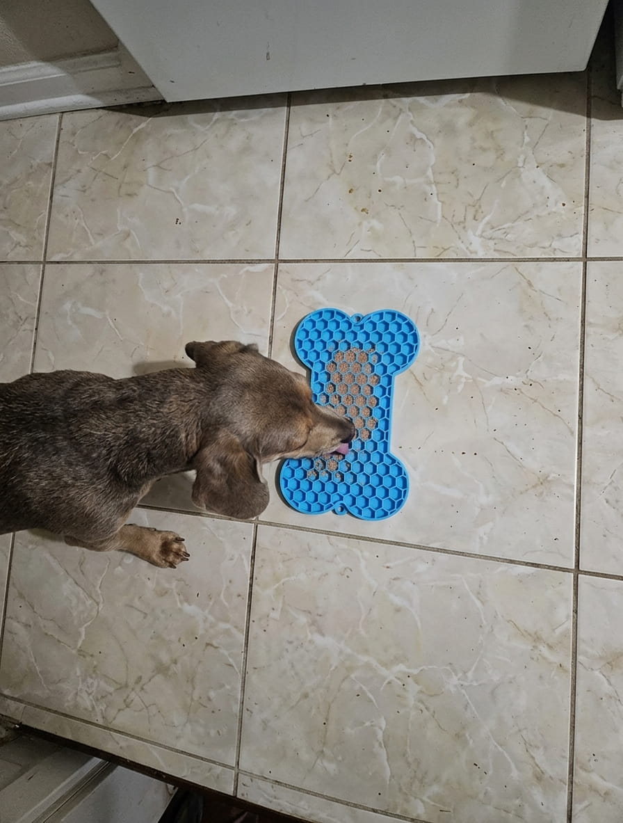 שקד וויס