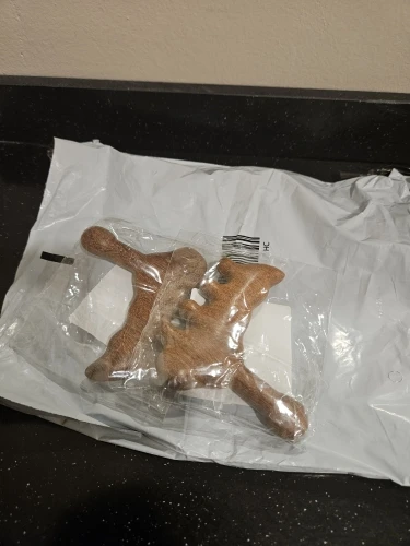 נועה כץ