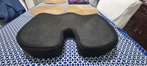 נועה ברק