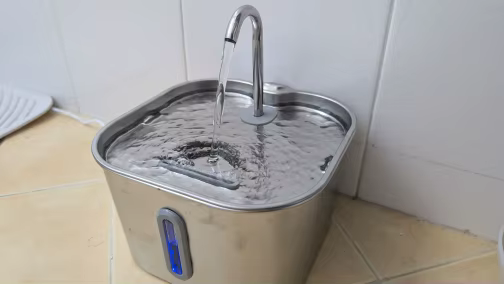 Review image