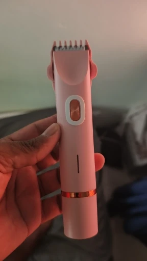 Review image