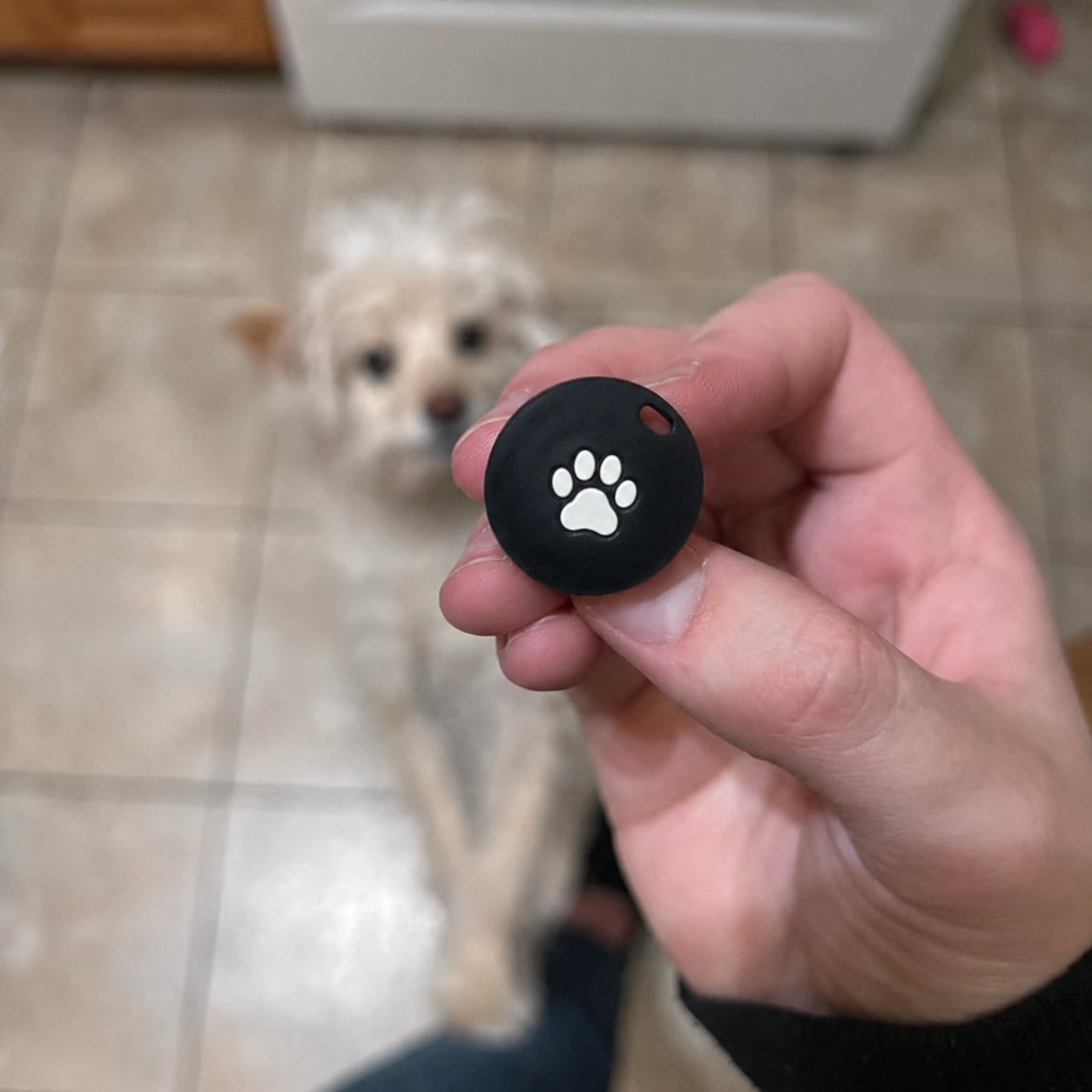 Review image