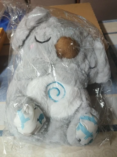 נועה כץ
