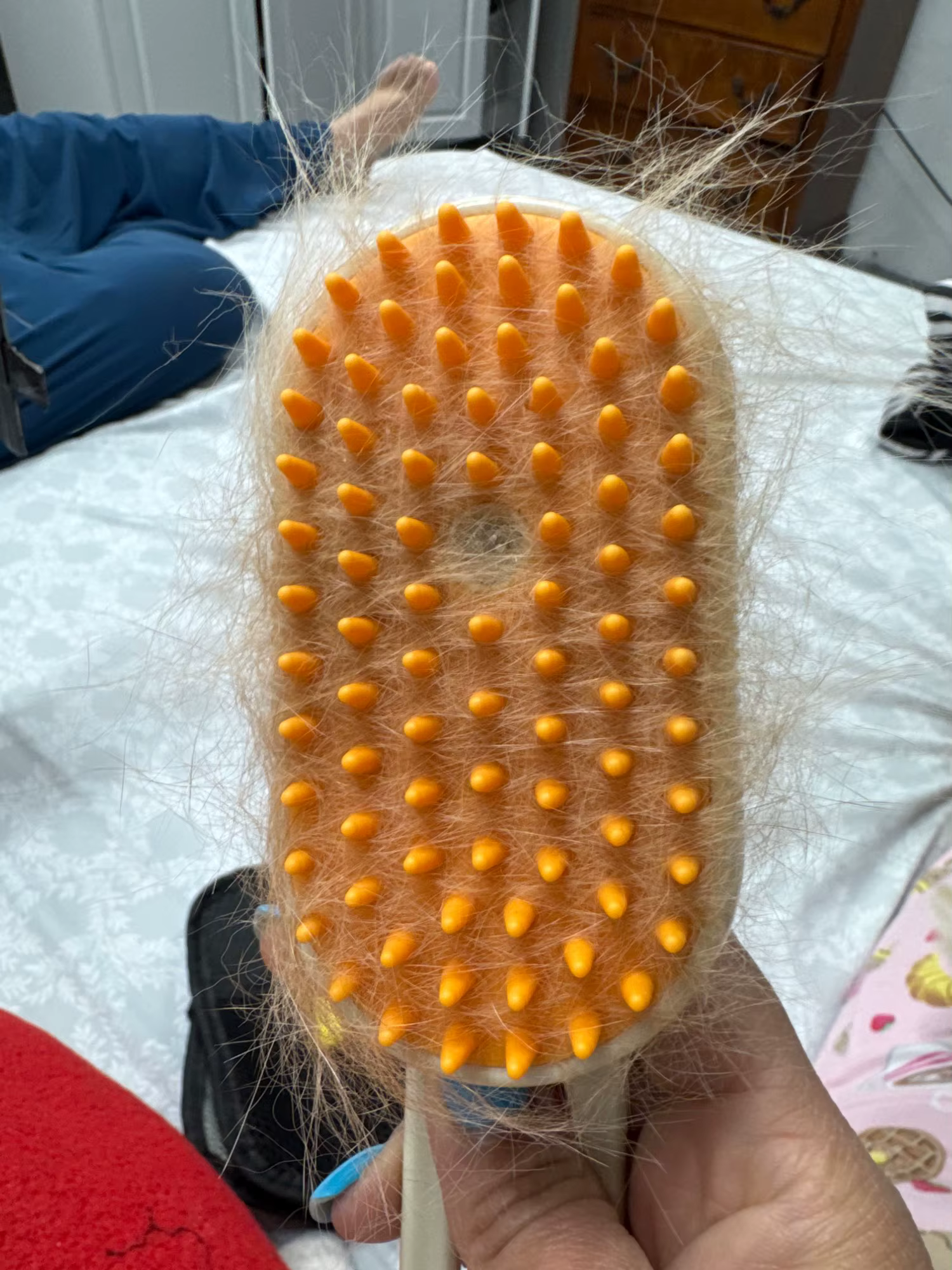 יונתן זיו
