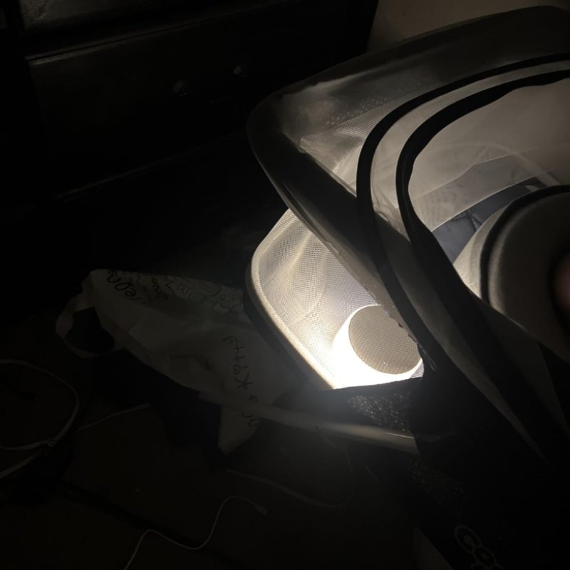 Review image