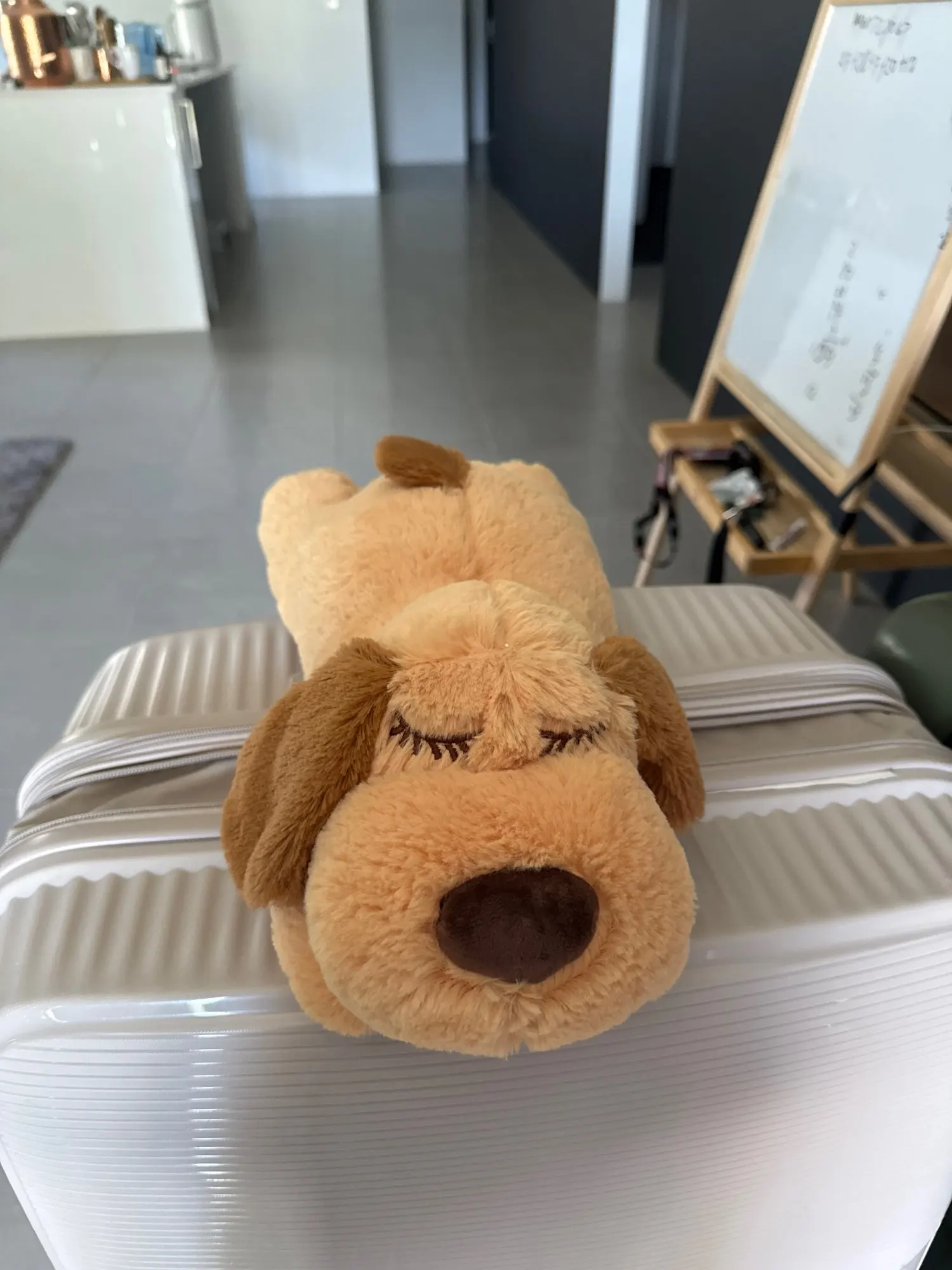 Review image