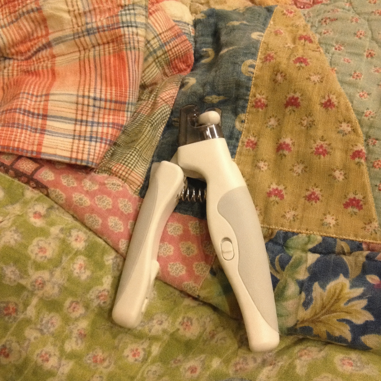 Review image