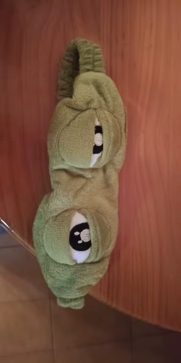 נועה לוי