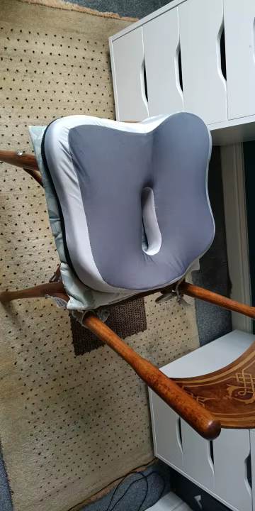 נועם אלון
