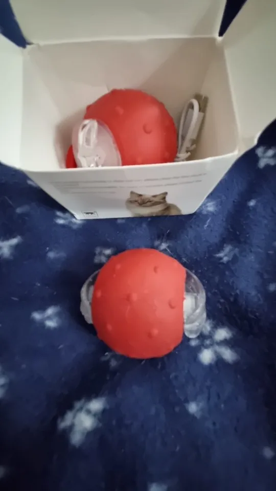 Review image