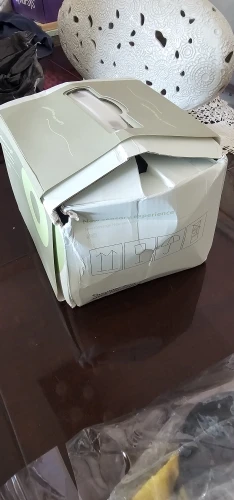 נועה לוי