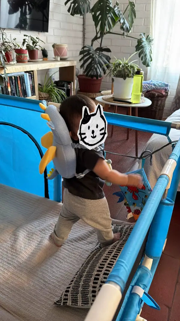 נועם ברוך