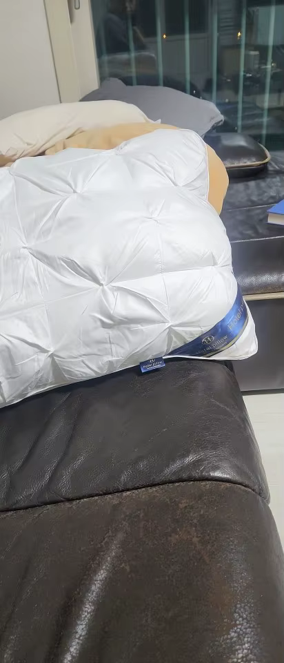 אורי לוי