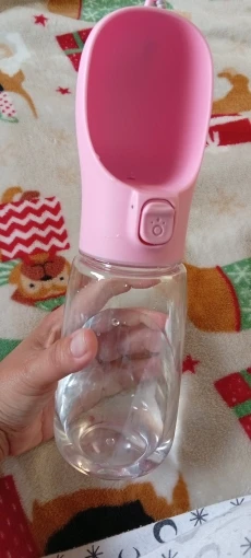 מירה כהן