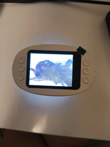 Review image