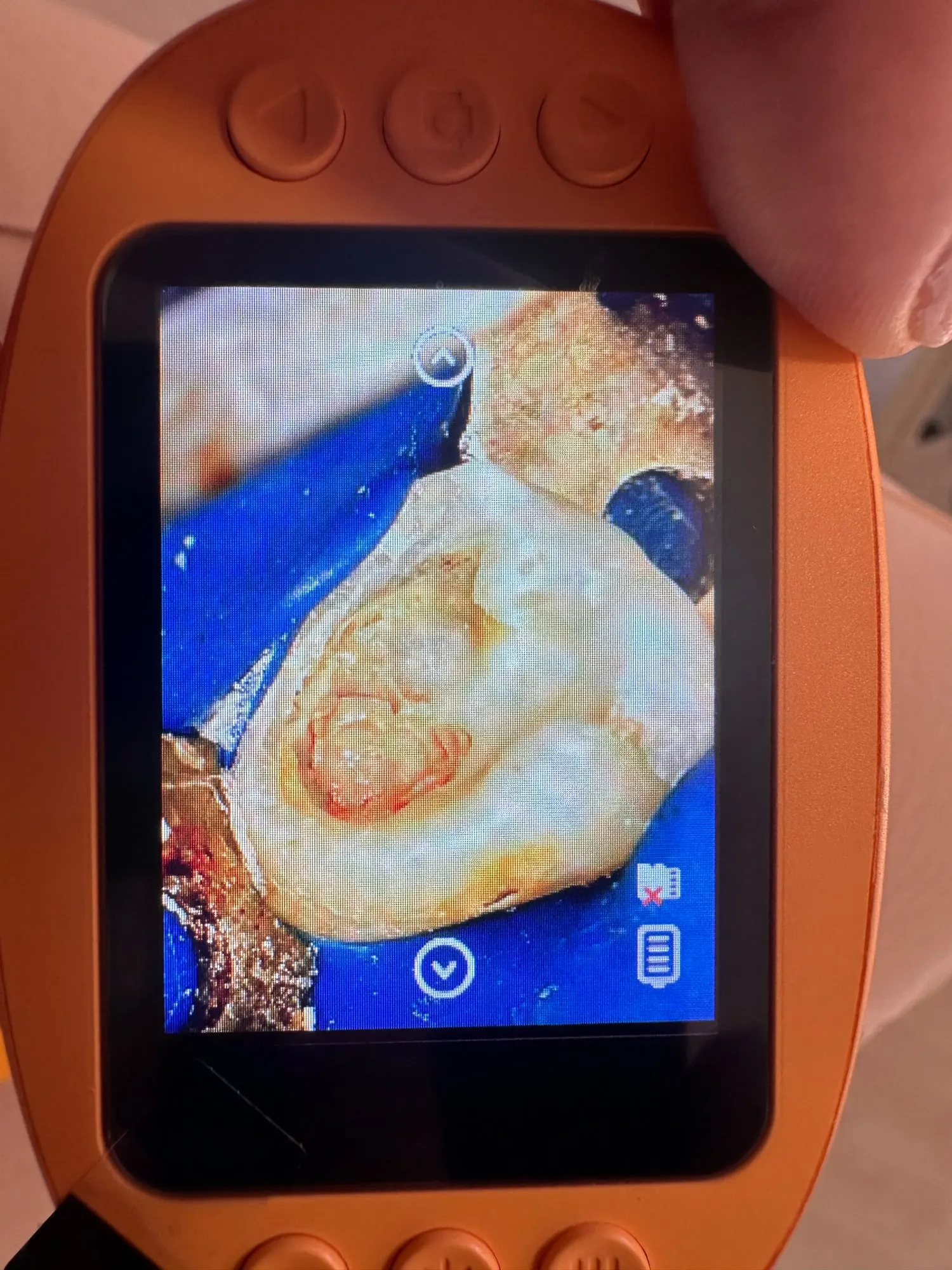 Review image
