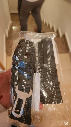 ליאור לוי