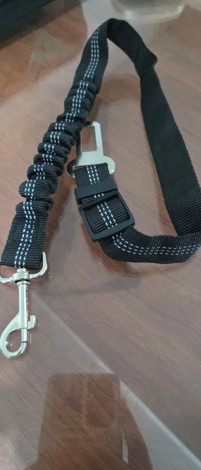 חן כהן