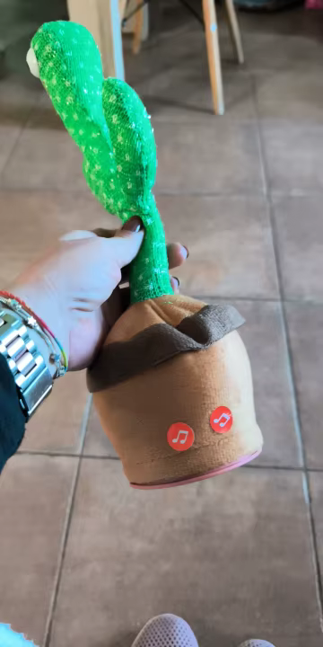 Review image