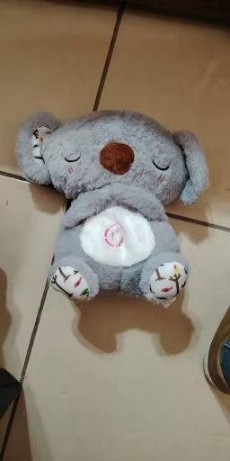 Review image