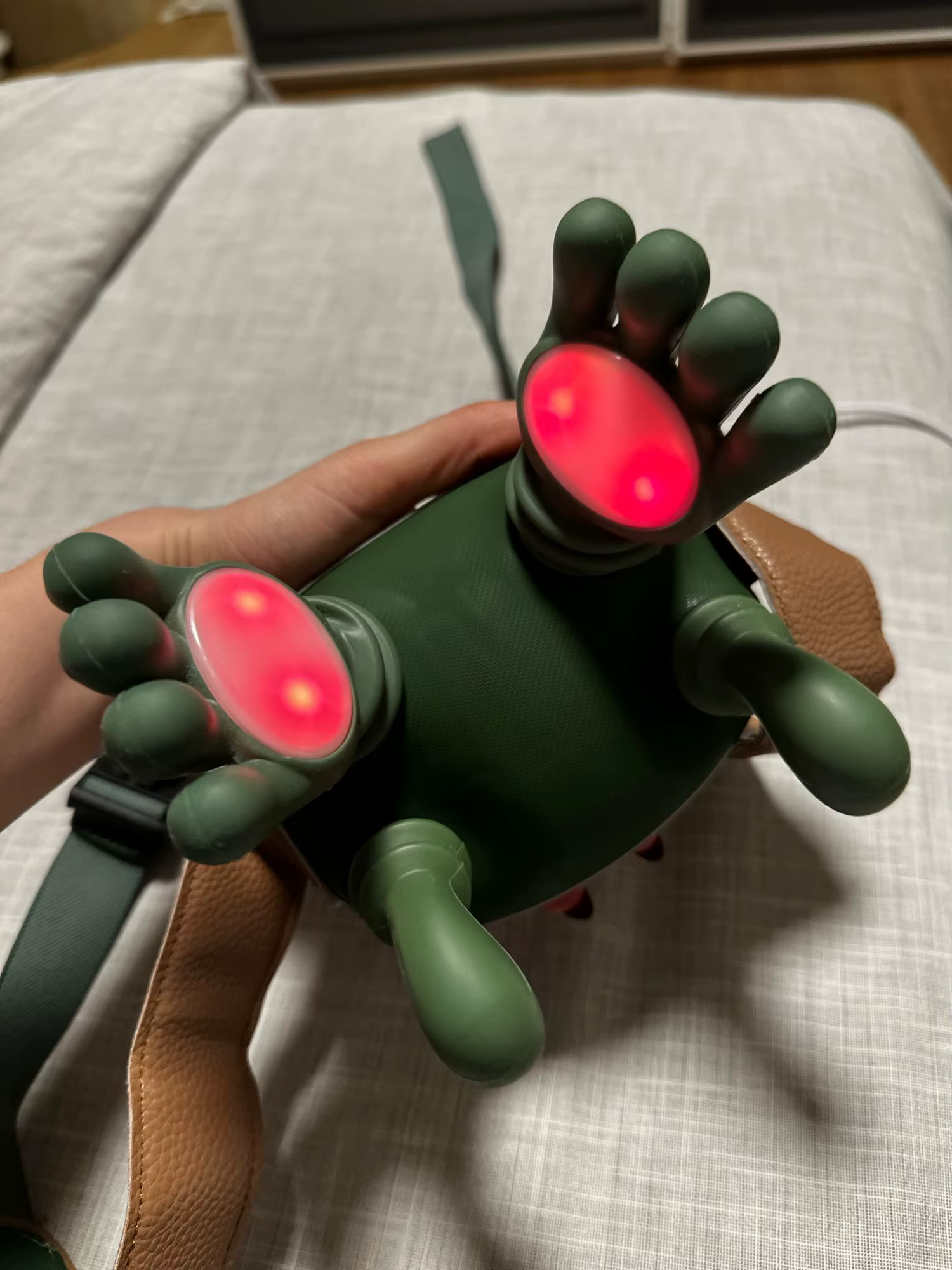 Review image