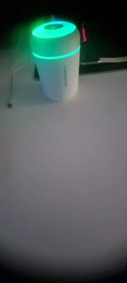 נועה רוזנטל