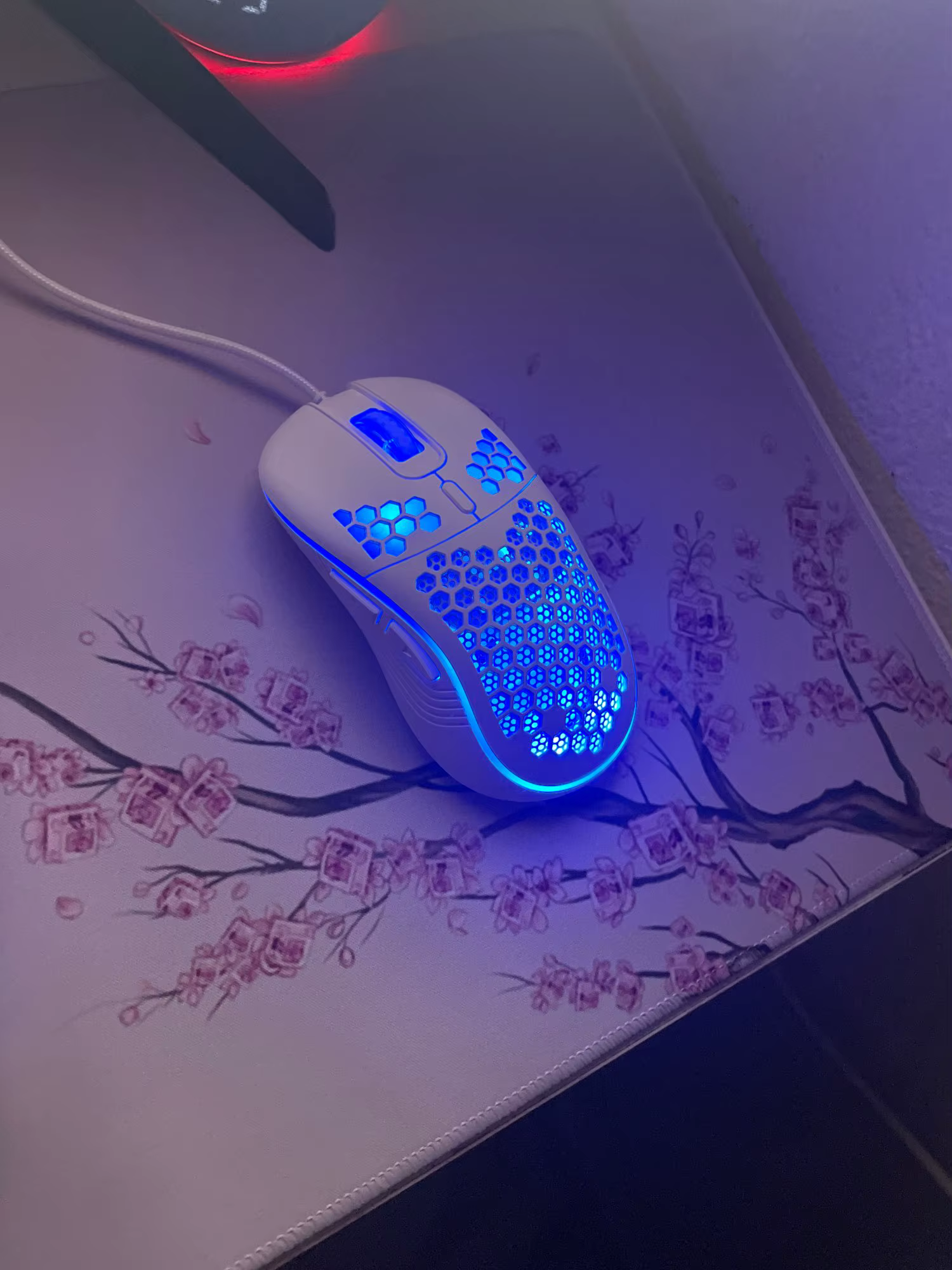 Review image
